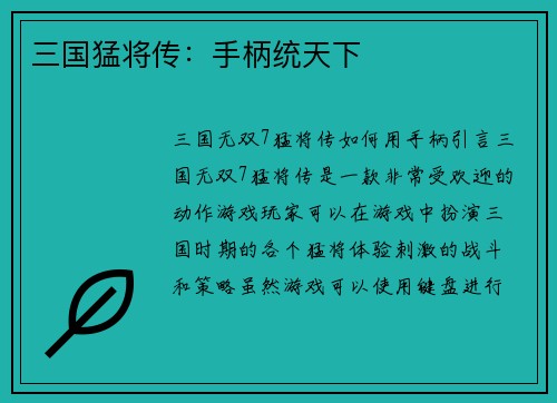 三国猛将传：手柄统天下