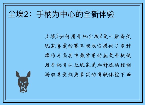 尘埃2：手柄为中心的全新体验